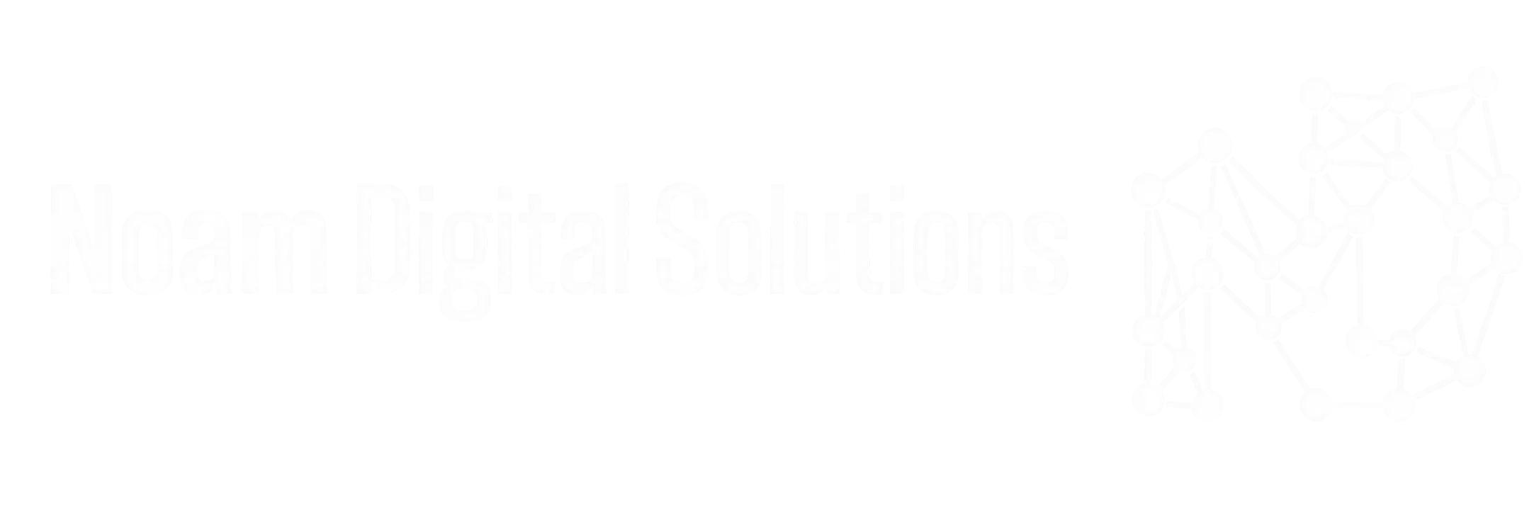 נועם שיווק דיגיטלי